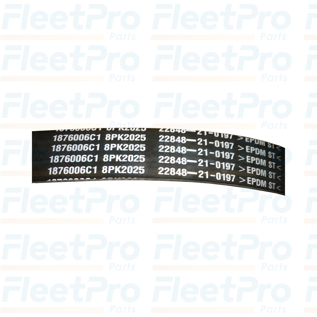8-Rib 79.72" Serpentine Belt 1876006C1 Close-Up