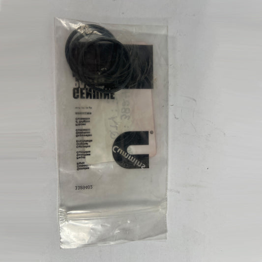 Cummins 12 pin PED O-ring