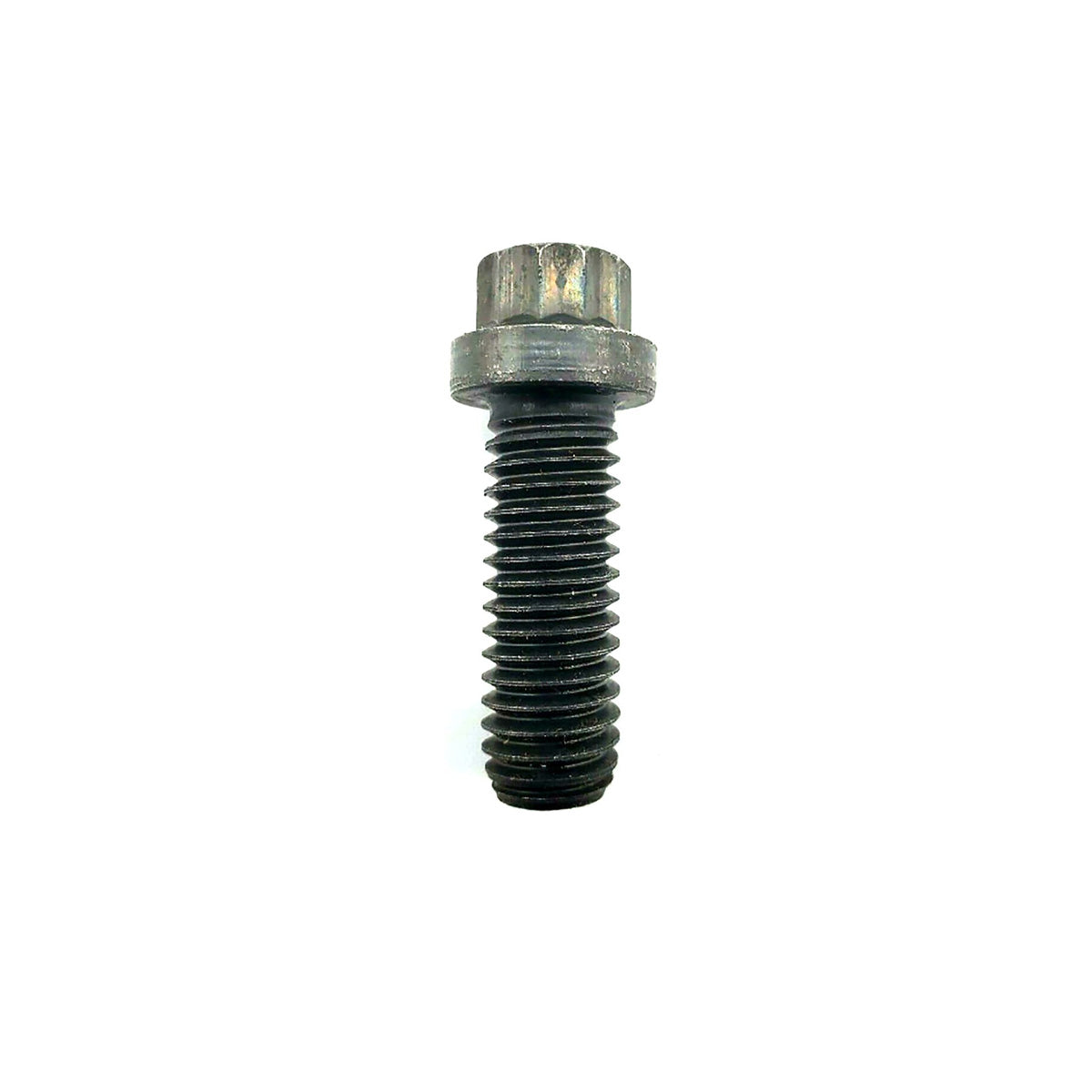 Close-up of 12-point head on Cummins cap screw 206326