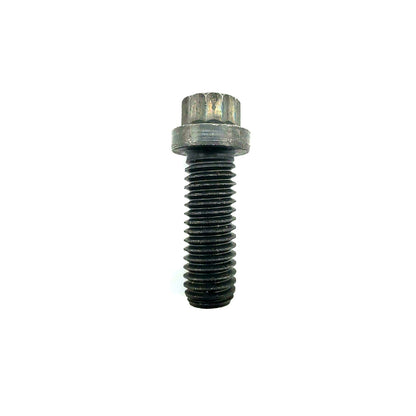 Close-up of 12-point head on Cummins cap screw 206326