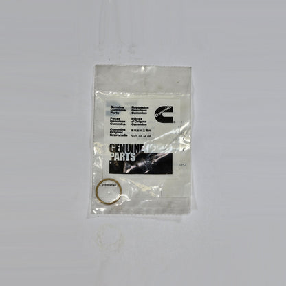 Front view of Cummins 4928163 injector o-ring for fuel system