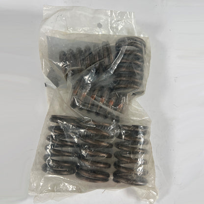 International 677349C1 intake valve spring set of 6