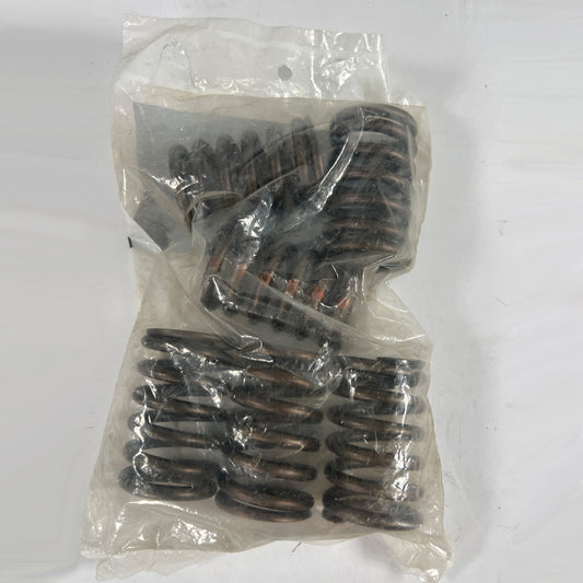 International 677349C1 intake valve spring set of 6