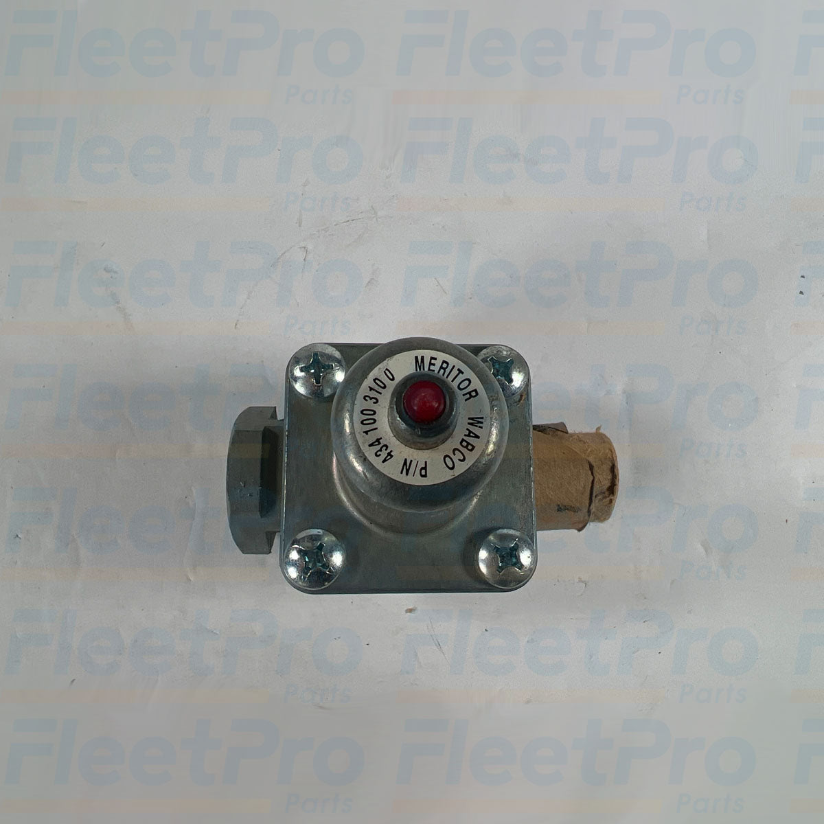 S4341003100 compressed air system check valve
