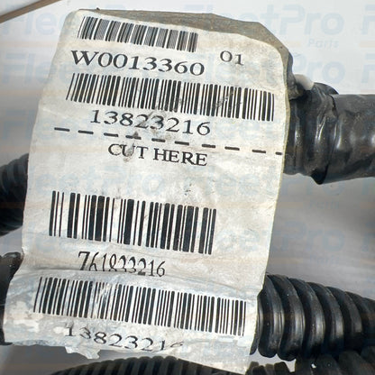 ASM W0013360 truck wiring harness